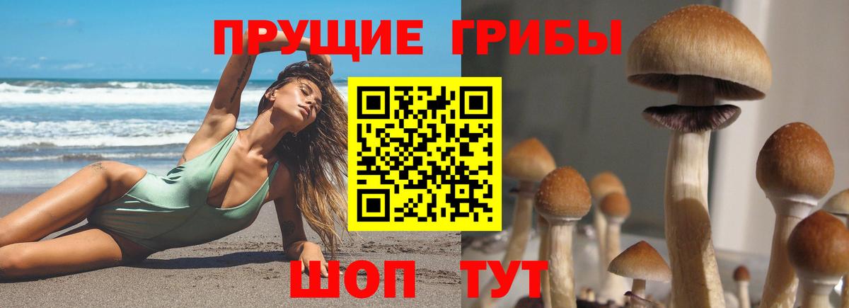 Псилоцибиновые грибы мицелий  Вход с VPN  наркота  Чебаркуль 